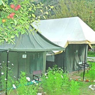 The Chardham Camp,Joshimath ( by Leisure Hotels ), Joshimath 1